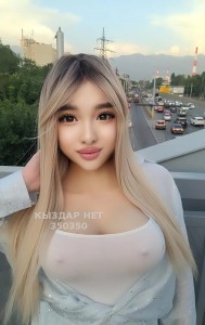 Транс Алматы Анкета №350350 Фотография №3754133